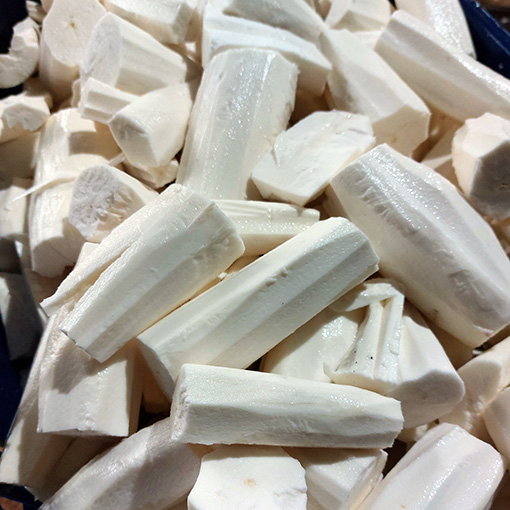 yuca-510x510